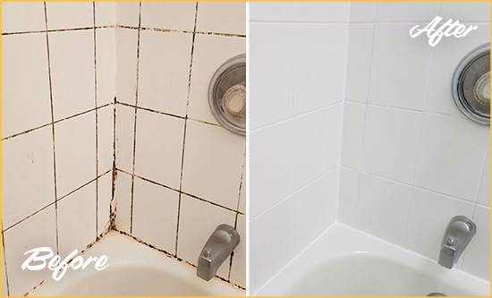 Before and After Picture of a Rancho Santa Margarita Shower Tile and Grout Cleaned to Eliminate Mold